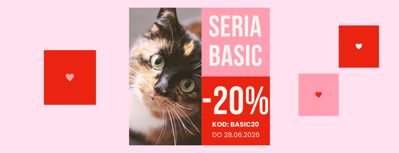 maty edukacyjne dla kotów już dostępne